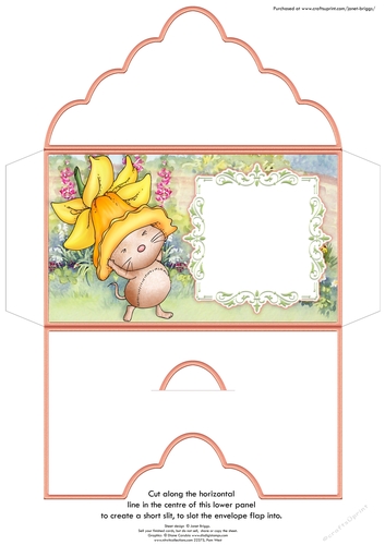Easter Mothers Day Birthday Money Wallet Gift Voucher Envelope DAFFODIL FUN
