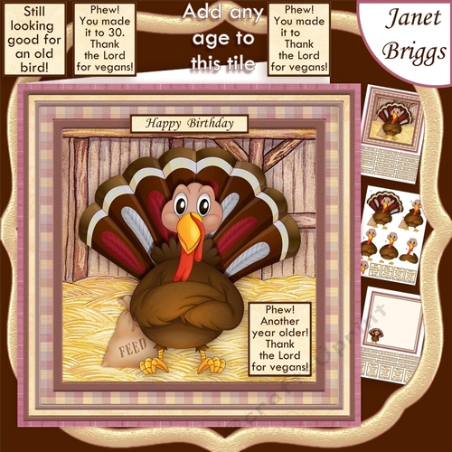 THANK THE LORD FOR VEGANS Humorous 7.5 Decoupage & Insert Mini Kit