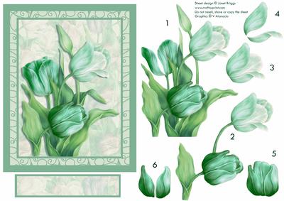 Tulips in Green Card Front and Decoupage