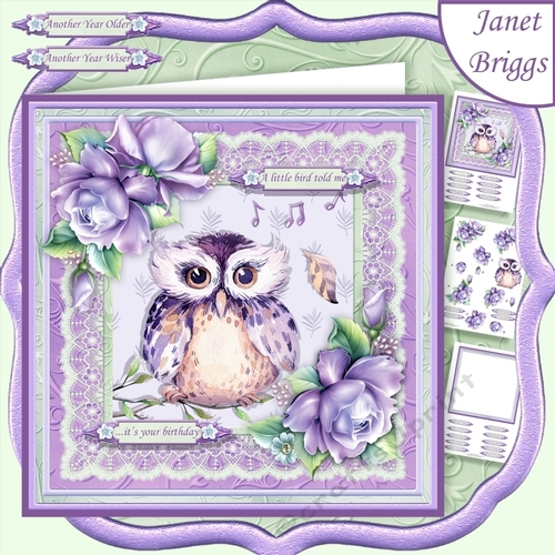 ANOTHER YEAR OLDER WISE OWL LILAC 7.5 Decoupage & Insert Mini Kit 
