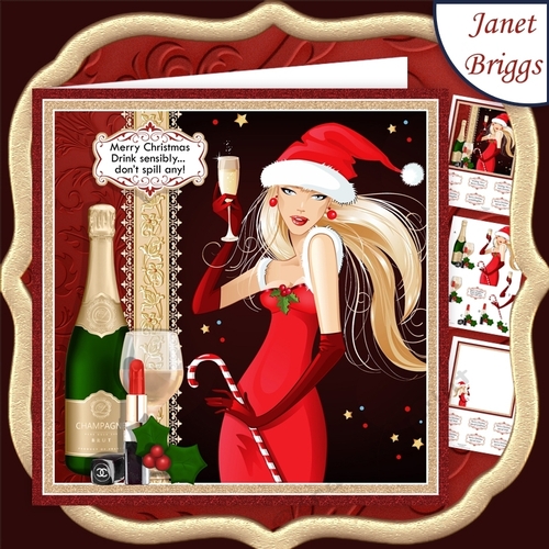 CHRISTMAS DRINK SENSIBLY DONT SPILL ANY Humorous 7.5 Decoupage & Insert Mini Kit