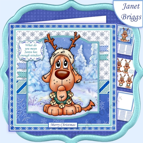 WHAT DO YOU MEAN SANTA HAS ENOUGH REINDEER 7.5 Christmas Decoupage Mini Kit