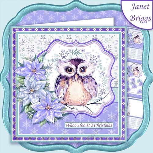 WINTER OWL & POINSETTIA 7.5 Christmas Decoupage & Insert Mini Kit