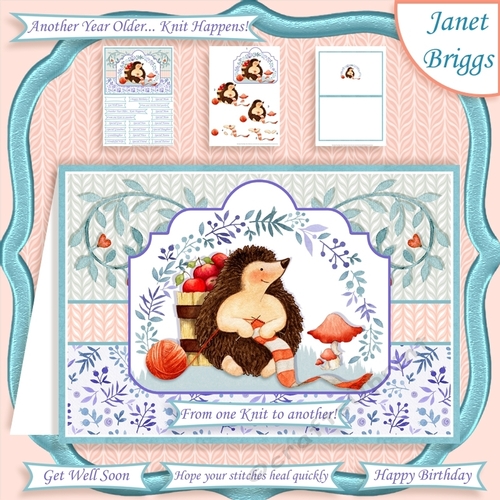 HUMOROUS HEDGEHOG KNITTING A5 Card Topper Decoupage & Insert Mini Kit