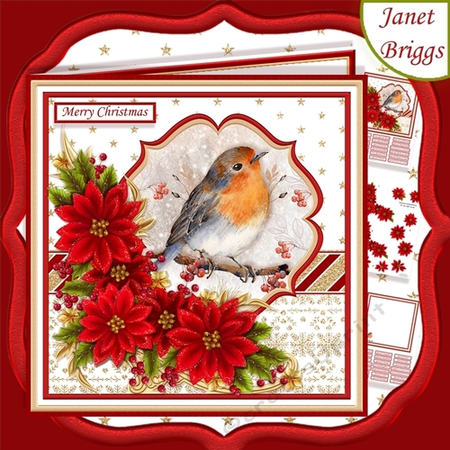 ROBIN & POINSETTIA 7.5 Christmas Decoupage & Insert Kit