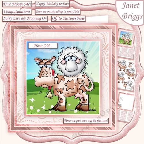 EWE MOOVE ME Humorous 7.5 Decoupage & Insert All Occasions
