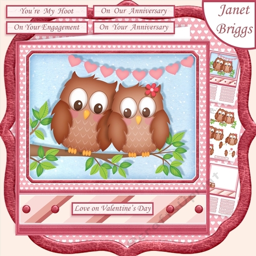 YOURE MY HOOT 7.5 Decoupage & Insert Mini Kit Various Occasions