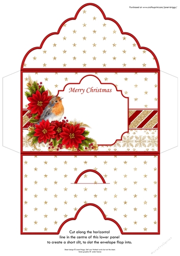 Christmas Money Wallet Gift Voucher Envelope POINSETTIA & ROBIN