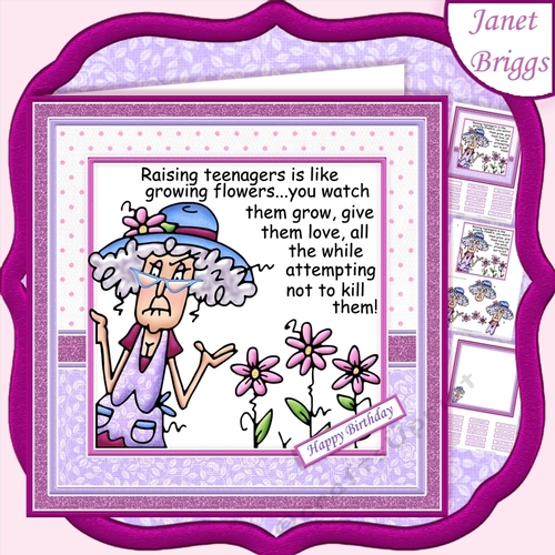 STELLA on RAISING TEENAGERS 7.5 Humorous Decoupage & Insert Mini Kit