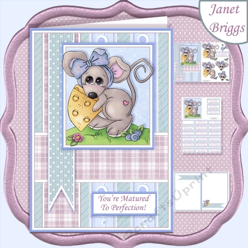 MATURED TO PERFECTION Humorous A5 Decoupage & Insert