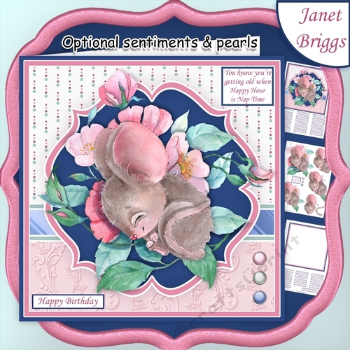 HAPPY HOUR IS NAP TIME Mouse 7.5 Decoupage & Insert Mini Kit