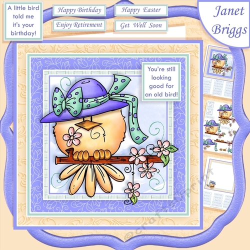 A LITTLE BIRD TOLD ME 7.5 Decoupage & Insert Mini Kit