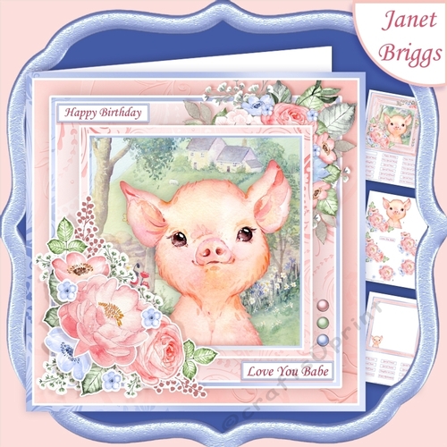 BABY PIGLET 7.5 Decoupage & Insert Mini Kit