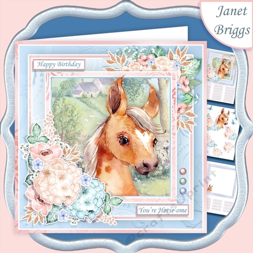 pony foal 7.5 Decoupage & Insert Kit