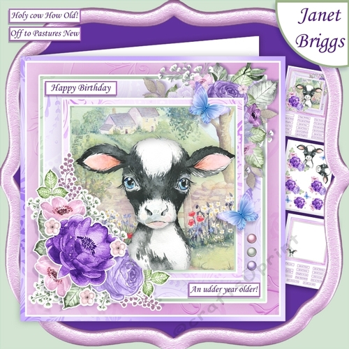 CALF BABY COW 7.5 Decoupage & Insert Kit