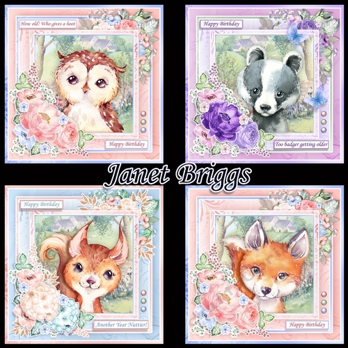 WOODLAND PALS 7.5 Decoupage & Inserts Bumper Kit