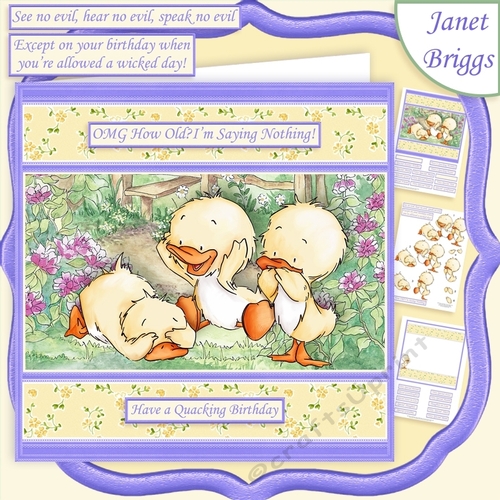OMG HOW OLD Humorous Ducklings Various Occasions Decoupage Kit