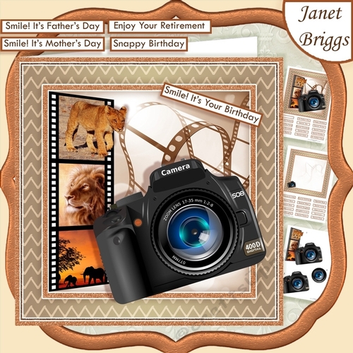 CAMERA SNAPSHOTS ON SAFARI 7.5 Decoupage & Insert Mini Kit