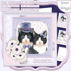 CAT LOVERS 7.5 Decoupage & Insert Card Kit