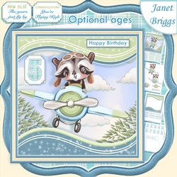 PLANE FLYING BY 7.5 Decoupage & Optional Ages Card Kit