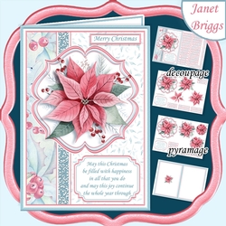 POINSETTIA Christmas A5 Portrait Pyramage OR Decoupage Kit