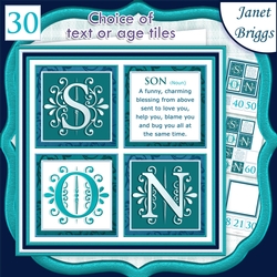 SON DEFINITION SQUARES 7.5 Humorous Birthday Quick Layer Card
