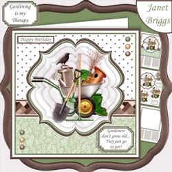 GARDENING THERAPY 7.5 Pyramage & Insert Card Kit