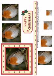 Christmas Robin Pyramid Sheet