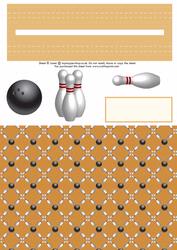 Bowling Penny Slider Sheet