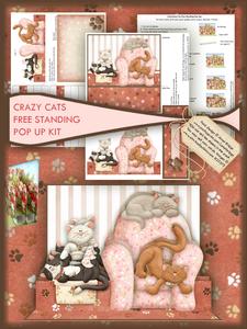 Crazy Cats Freestanding Pop Up Card Kit
