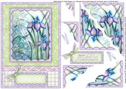 Iris and Dragonfly 2 Card and Wavy Corner Stacker