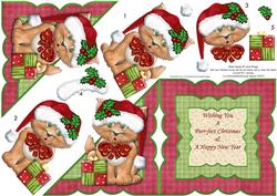 Purrfect Christmas All in One Over the Edge Card