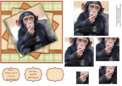 Funny Chimp Topper & Pyramid Decoupage