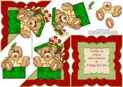 Bear in a Box Christmas Over the Edge