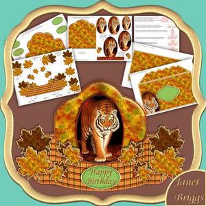 Tiger Bow Front Push and Pull Card Kit