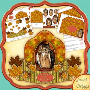 Wise Owl Push and Pull Card Kit