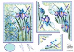 Iris & Dragonfly Wavy Corner Stacker
