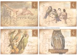 Birds 4 Vintage Postcard Toppers