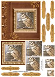 Wise Old Bird Card Topper & Pyramid Layers