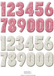 Age Numbers for Carnations & Butterflies Card Kit
