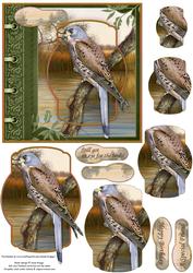 An Eye for the Birds! Kestrel Card Topper & Pyramage