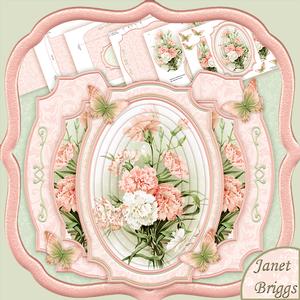 Peach Carnations Double Pop Out Card Kit