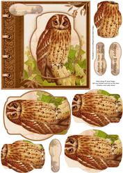 Vintage Owl Another Year Older Topper & Pyramage