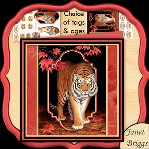 Tiger 8x8 Mini Kit & Decoupage