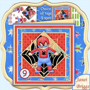 Spider Hero Andy Birthday Boy 8x8 Mini Kit & Decoupage
