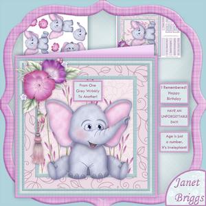 From One Grey Wrinkly to Another Mini Card Kit & Decoupage