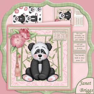 Easily Bamboozled Card Mini Kit & Decoupage