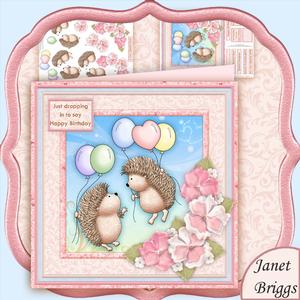 Flying High Hedgehogs 8x8 Mini Kit & Decoupage