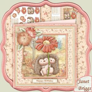 Hedgehog Blossom 8x8 Mini Kit & Decoupage