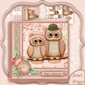 Mr & Mrs Owl 8x8 Mini Kit & Decoupage